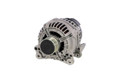 GENERATOR / ALTERNATOR REMANTE 011003000549R 61
