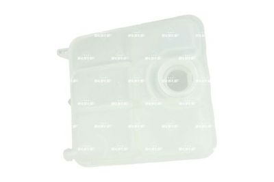 VAS DE EXPANSIUNE RACIRE