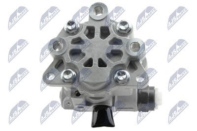 Pompa idraulica, Sterzo NTY SPW-CH-049