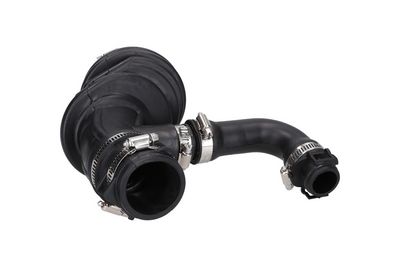 FURTUN ULEI KAMOKA 7912541 1