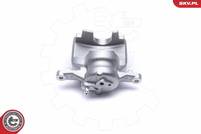 Brake Caliper 55SKV962