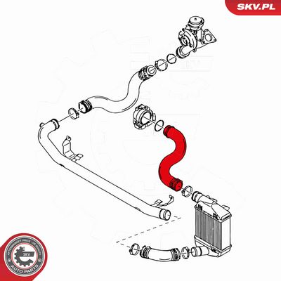 FURTUN EAR SUPRAALIMENTARE ESEN SKV 24SKV083 2