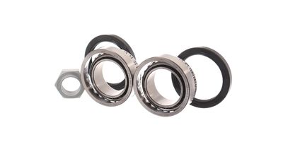 RADLAGERSATZ SKF VKBA829 34