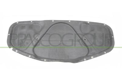 MATERIAL AMORTIZARE ZGOMOT NISA MOTOR