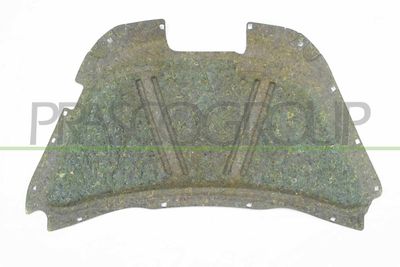 MATERIAL AMORTIZARE ZGOMOT NISA MOTOR PRASCO VG4201945