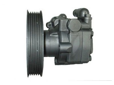HYDRAULIKPUMPE LENKUNG SPIDAN 54441 3