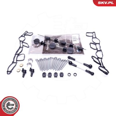 ESEN SKV - Súprava na opravu, modul sacej rúry AUDI, VW, VAG, SEAT, … , 49SKV501