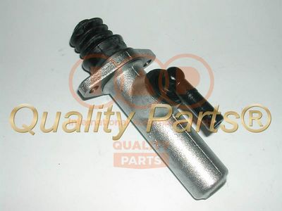 Главный цилиндр, система сцепления IAP QUALITY PARTS 205-13171 для RENAULT 30