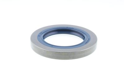 Dichtring