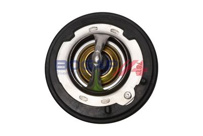 TERMOSTAT LICHID RACIRE BOGAP H4245101 4