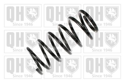 QUINTON HAZELL QCS6081 Пружина подвески  для OPEL CORSA (Опель Корса)