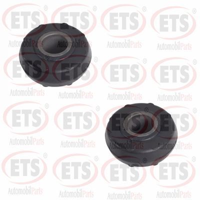 тампон, носач ETS 06.TK.650