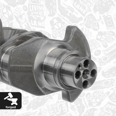 ARBORE COTIT ET ENGINETEAM HK0221 4