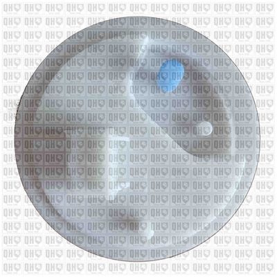 POMPA COMBUSTIBIL QUINTON HAZELL QFP1083 3