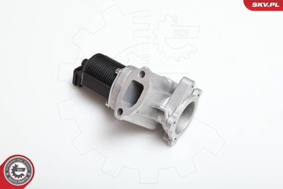 EGR Valve 14SKV031