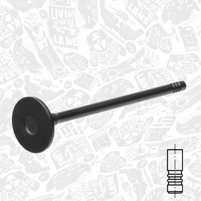 SUPAPA EVACUARE ET ENGINETEAM VE0177 1