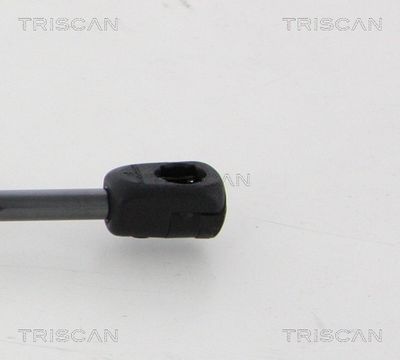 AMORTIZOR PORTBAGAJ TRISCAN 871020105 2
