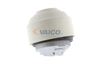 SUPORT MOTOR VAICO V300761 42