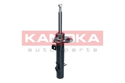 Shock Absorber 2001083