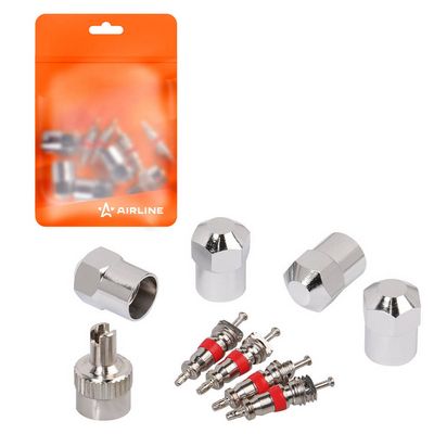 Комплект золотников, сервисный нипель Airline ATRS012