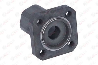 FLANSA LICHID RACIRE BIRTH 4030 6