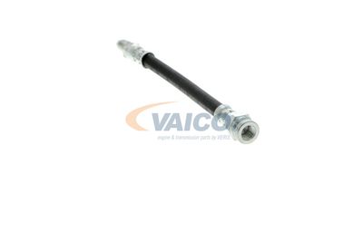 FURTUN FRANA VAICO V249644 10