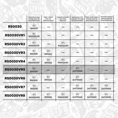 CHIT LANT DE DISTRIBUTIE ET ENGINETEAM RS0030VR5 1