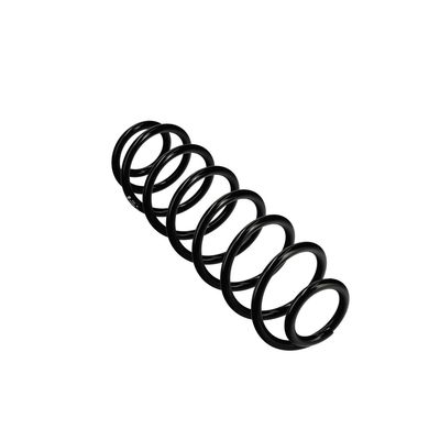 ARC SPIRAL EIBACH R22954 11