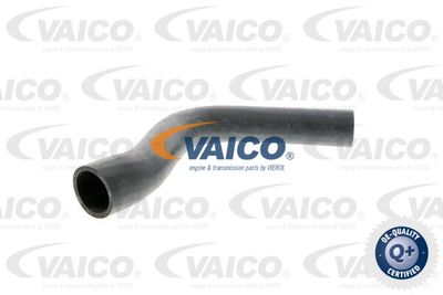 Kylarslang VAICO V30-0225