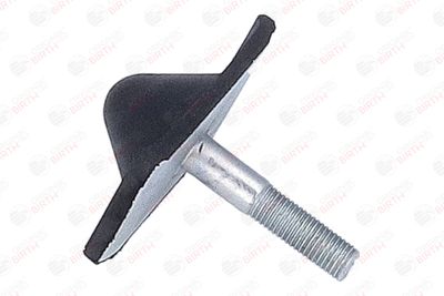 BUCSA ARC FOI BIRTH 56718 11