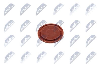 MEMBRANA AERISIRE CARCASA ARBORE COTIT