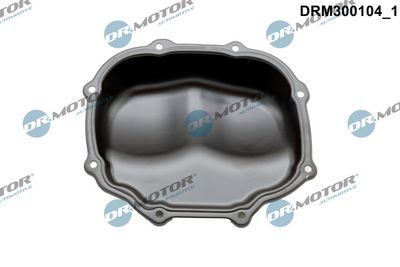 ACOPERIRE CARCASă DISTRIBUțIE Dr.Motor Automotive DRM300104 1