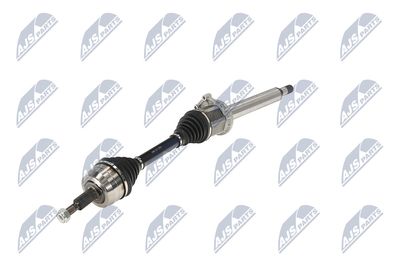 PLANETARA NTY NPWVW131 20