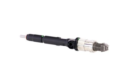 INJECTOR REMANTE 002003001953R 15
