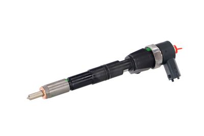 INJECTOR REMANTE 002003001674R 6