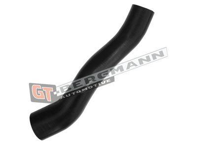 GT-BERGMANN Automotive Kompresoriaus padavimo žarna