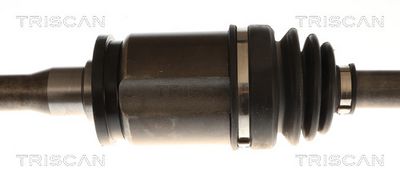 PLANETARA TRISCAN 854011608 2