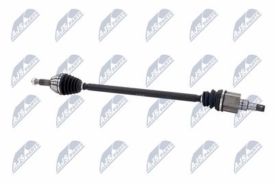 PLANETARA NTY NPWFR189 29