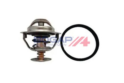 TERMOSTAT LICHID RACIRE