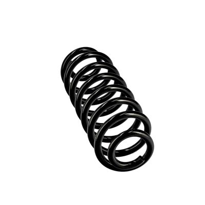 ARC SPIRAL EIBACH R10701 24