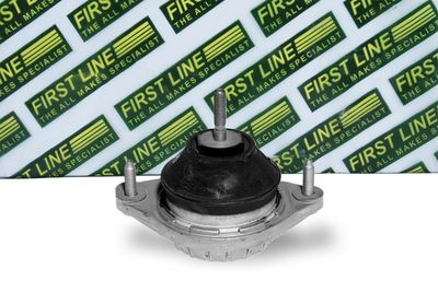окачване, двигател FIRST LINE FEM3159