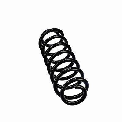 ARC SPIRAL EIBACH R21213 24