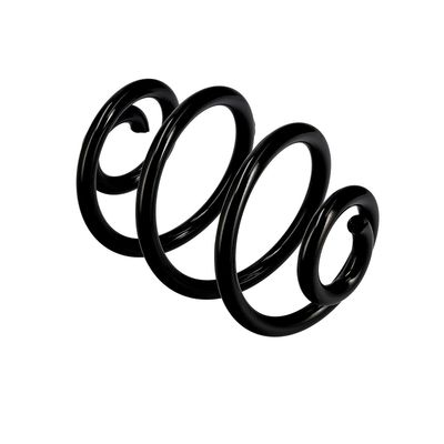 ARC SPIRAL EIBACH R10088 10