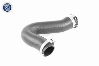 LADELUFTSCHLAUCH VAICO V103782 8