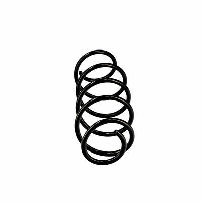 ARC SPIRAL EIBACH R10079 13