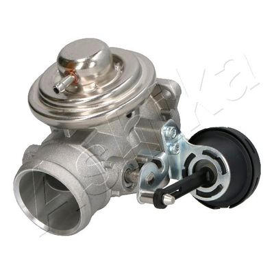 EGR Valve 150-00-0921