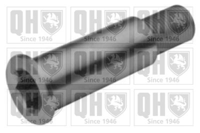 PIVOT LAGAR ROLA DE TENSIONARE QUINTON HAZELL QTA1233