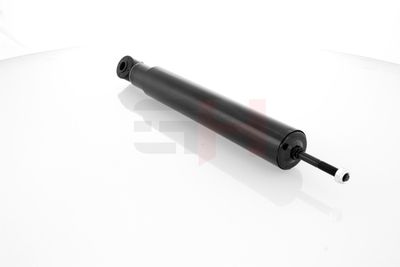 AMORTIZOR GH GH303659 23