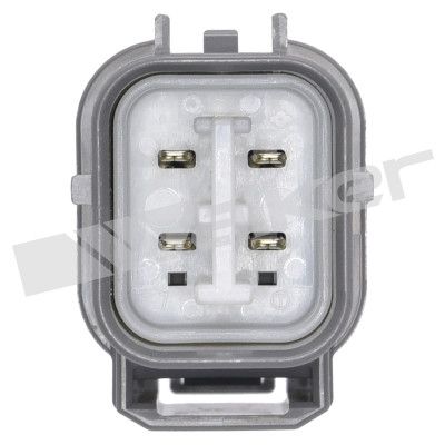 LAMBDASONDE WALKER PRODUCTS 25024498 2