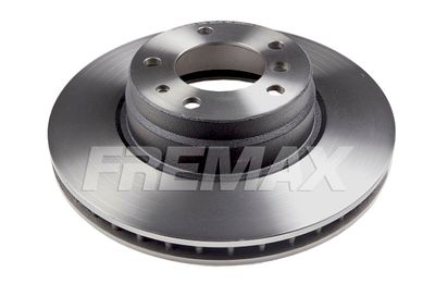 Jarrulevy FREMAX BD-2093 – BMW